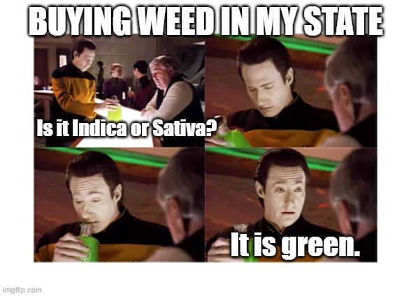 The "United" states | BUYING WEED IN MY STATE; Is it Indica or Sativa? It is green. | image tagged in star trek,star trek tng,legalize weed | made w/ Imgflip meme maker