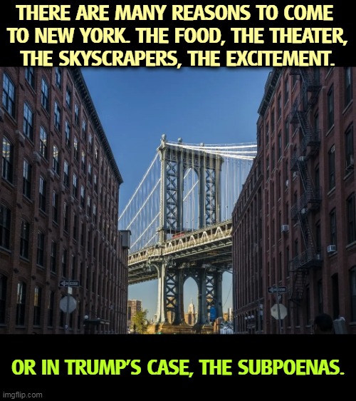 THERE ARE MANY REASONS TO COME 
TO NEW YORK. THE FOOD, THE THEATER,
THE SKYSCRAPERS, THE EXCITEMENT. OR IN TRUMP'S CASE, THE SUBPOENAS. | image tagged in new york,food,theater,architecture,excitement,trump | made w/ Imgflip meme maker