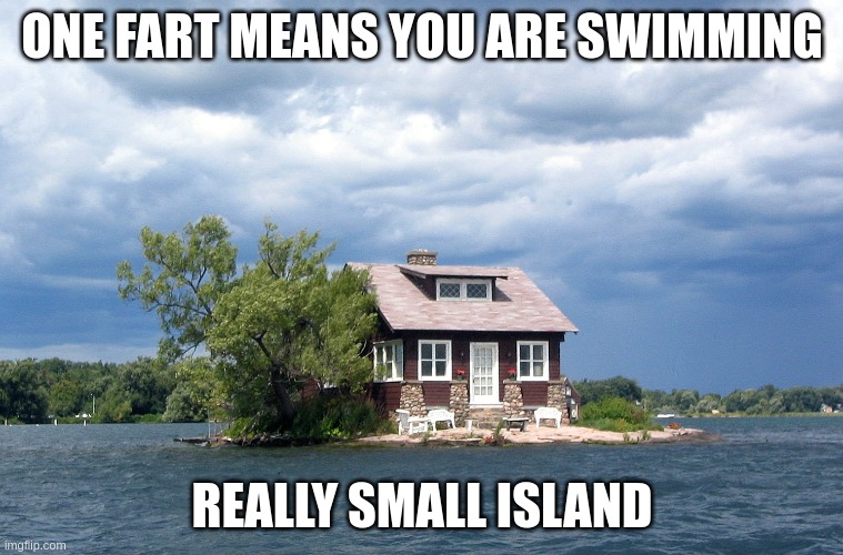 the just enough room island | ONE FART MEANS YOU ARE SWIMMING; REALLY SMALL ISLAND | image tagged in island | made w/ Imgflip meme maker