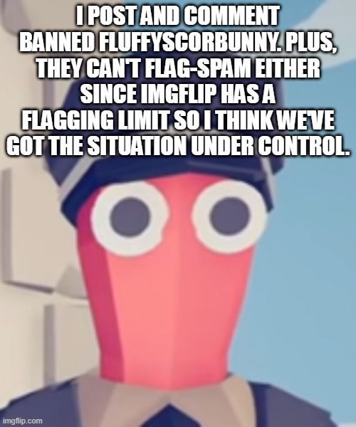 my hands are tired, i spent half an hour deleting comments. this could've been sorted out if people weren't so blood-thirsty.. | I POST AND COMMENT BANNED FLUFFYSCORBUNNY. PLUS, THEY CAN'T FLAG-SPAM EITHER SINCE IMGFLIP HAS A FLAGGING LIMIT SO I THINK WE'VE GOT THE SITUATION UNDER CONTROL. | image tagged in tabs stare | made w/ Imgflip meme maker