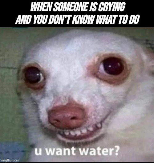 WHEN SOMEONE IS CRYING AND YOU DON'T KNOW WHAT TO DO | image tagged in water,a random meme,never gonna give you up,lol | made w/ Imgflip meme maker