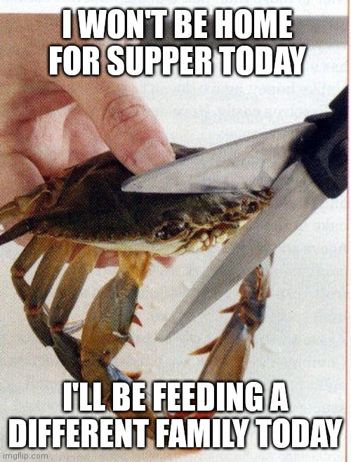 Help the Crab- | I WON'T BE HOME FOR SUPPER TODAY; I'LL BE FEEDING A DIFFERENT FAMILY TODAY | image tagged in crab meme | made w/ Imgflip meme maker