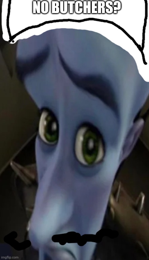 Megamind peeking | NO BUTCHERS? | image tagged in no bitches | made w/ Imgflip meme maker