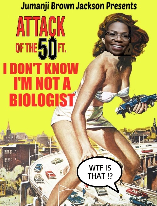 May have been a film...I don't know i'm not a "Filmologist" | WTF IS
THAT !? | image tagged in memes,funny memes,scotus,woman,biology,political meme | made w/ Imgflip meme maker