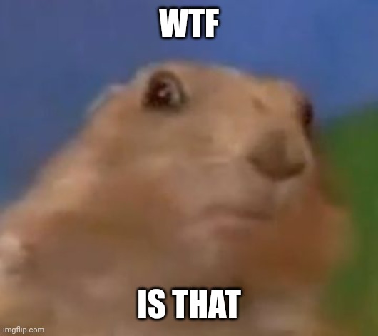 Suprised Chipmunk | WTF IS THAT | image tagged in suprised chipmunk | made w/ Imgflip meme maker