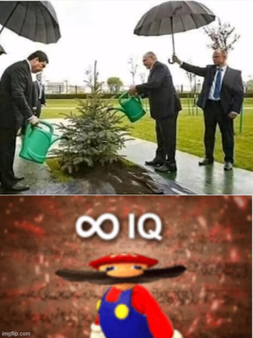 watering the plants even despite it is raining | image tagged in infinite iq | made w/ Imgflip meme maker