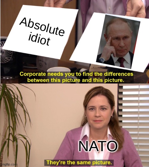 They're The Same Picture Meme | Absolute idiot; NATO | image tagged in memes,they're the same picture | made w/ Imgflip meme maker