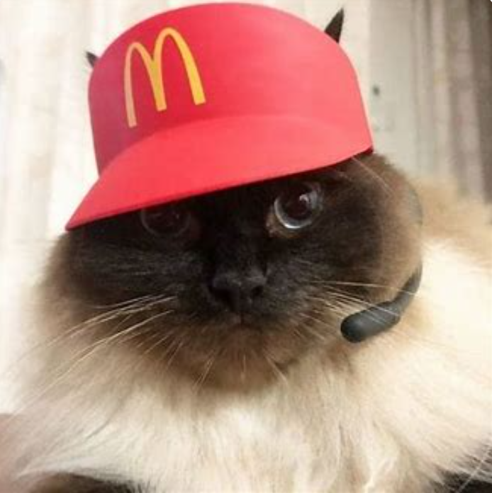 High Quality McMeow McDonald's Drive Thru Cat Blank Meme Template