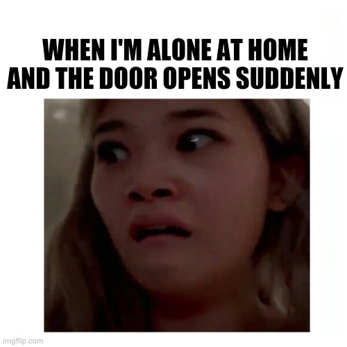 Just for fun | WHEN I'M ALONE AT HOME AND THE DOOR OPENS SUDDENLY | image tagged in memes | made w/ Imgflip meme maker
