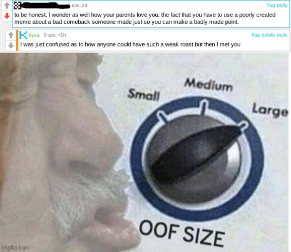 No comment | image tagged in oof size large | made w/ Imgflip meme maker