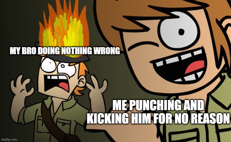Matt on fire | MY BRO DOING NOTHING WRONG; ME PUNCHING AND KICKING HIM FOR NO REASON | image tagged in matt on fire | made w/ Imgflip meme maker