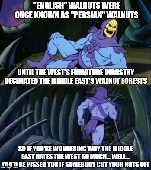 Skeletor disturbing facts | "ENGLISH" WALNUTS WERE ONCE KNOWN AS "PERSIAN" WALNUTS; UNTIL THE WEST'S FURNITURE INDUSTRY DECIMATED THE MIDDLE EAST'S WALNUT FORESTS; SO IF YOU'RE WONDERING WHY THE MIDDLE EAST HATES THE WEST SO MUCH... WELL... YOU'D BE PISSED TOO IF SOMEBODY CUT YOUR NUTS OFF | image tagged in skeletor disturbing facts | made w/ Imgflip meme maker