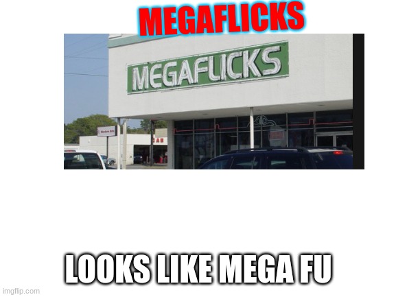 megaflicks | MEGAFLICKS; LOOKS LIKE MEGA FU | image tagged in blank white template | made w/ Imgflip meme maker