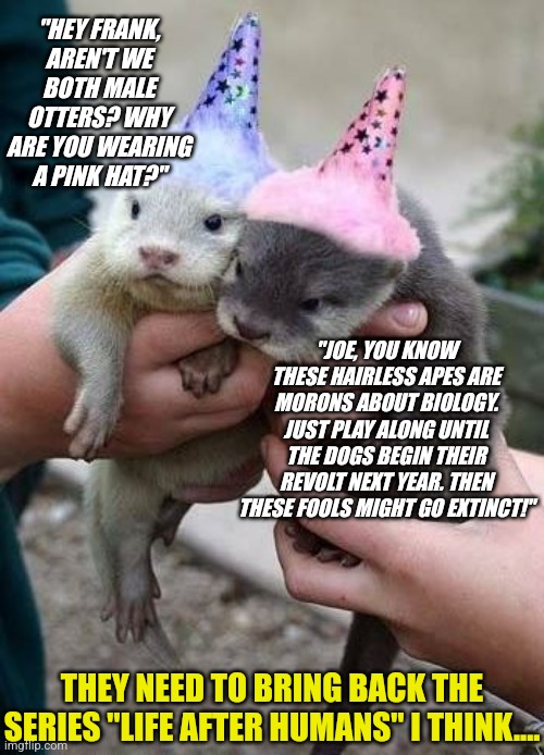I never worry about human extinction. There are many vastly more intelligent lifeforms that can take our place | "HEY FRANK, AREN'T WE BOTH MALE OTTERS? WHY ARE YOU WEARING A PINK HAT?"; "JOE, YOU KNOW THESE HAIRLESS APES ARE MORONS ABOUT BIOLOGY. JUST PLAY ALONG UNTIL THE DOGS BEGIN THEIR REVOLT NEXT YEAR. THEN THESE FOOLS MIGHT GO EXTINCT!"; THEY NEED TO BRING BACK THE SERIES "LIFE AFTER HUMANS" I THINK.... | image tagged in life,extinction,expectation vs reality,animals,the future world if | made w/ Imgflip meme maker