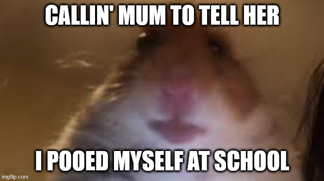 facetime hamster | CALLIN' MUM TO TELL HER; I POOED MYSELF AT SCHOOL | image tagged in facetime hamster | made w/ Imgflip meme maker