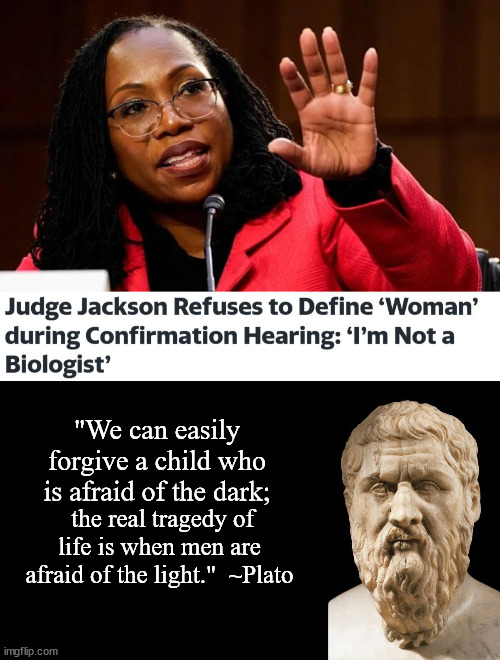  "We can easily forgive a child who is afraid of the dark;; the real tragedy of life is when men are afraid of the light."  ~Plato | image tagged in plato,scotus,ketanji brown jackson | made w/ Imgflip meme maker