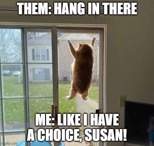 Like I have a choice |  THEM: HANG IN THERE; ME: LIKE I HAVE A CHOICE, SUSAN! | image tagged in cats | made w/ Imgflip meme maker