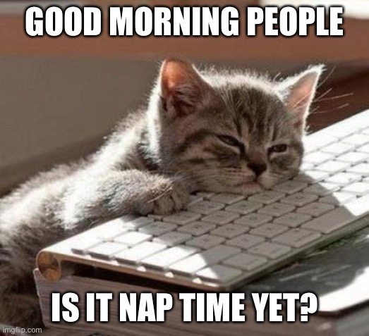 I is very slepy | GOOD MORNING PEOPLE; IS IT NAP TIME YET? | image tagged in tired cat | made w/ Imgflip meme maker