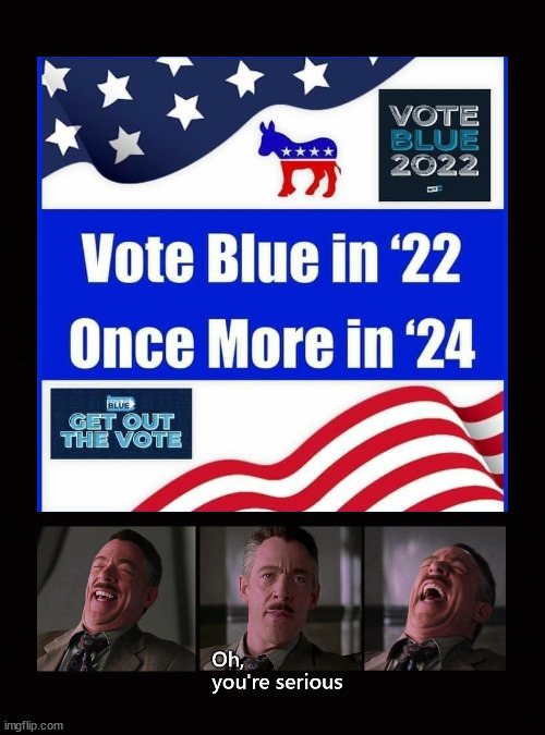 Vote Blue in 22 | image tagged in vote democrat | made w/ Imgflip meme maker
