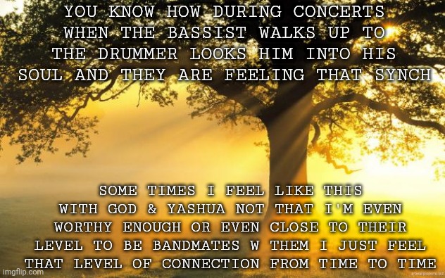 nature | YOU KNOW HOW DURING CONCERTS WHEN THE BASSIST WALKS UP TO THE DRUMMER LOOKS HIM INTO HIS SOUL AND THEY ARE FEELING THAT SYNCH; SOME TIMES I FEEL LIKE THIS WITH GOD & YASHUA NOT THAT I'M EVEN WORTHY ENOUGH OR EVEN CLOSE TO THEIR LEVEL TO BE BANDMATES W THEM I JUST FEEL THAT LEVEL OF CONNECTION FROM TIME TO TIME | image tagged in nature | made w/ Imgflip meme maker