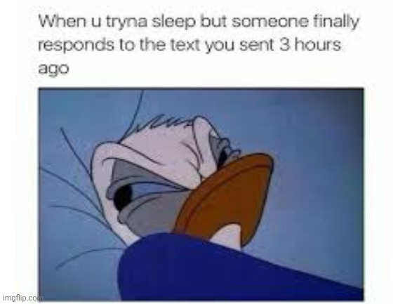 Dang | image tagged in sleep | made w/ Imgflip meme maker