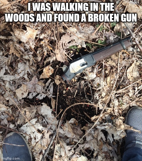 I WAS WALKING IN THE WOODS AND FOUND A BROKEN GUN | made w/ Imgflip meme maker