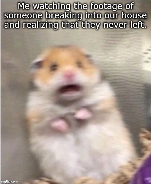 Scared Hamster |  Me watching the footage of someone breaking into our house and realizing that they never left. | image tagged in scared hamster | made w/ Imgflip meme maker