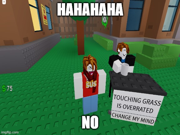 Funny Roblox Meme | HAHAHAHA; NO | image tagged in roblox meme,touchgrass | made w/ Imgflip meme maker