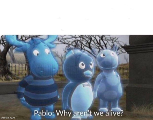 Pablo: why aren't we alive? | image tagged in pablo why aren't we alive | made w/ Imgflip meme maker