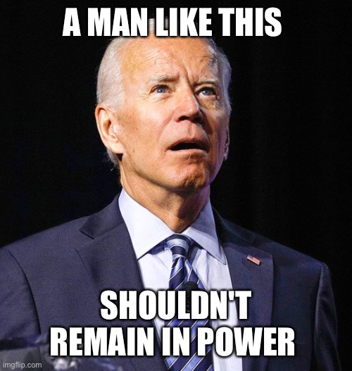 A very stable genius | A MAN LIKE THIS; SHOULDN'T REMAIN IN POWER | image tagged in joe biden | made w/ Imgflip meme maker