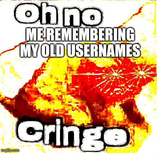 OH NO SUPER CRINGE!!!!!!!!!!!!!!!!!! | ME REMEMBERING MY OLD USERNAMES | image tagged in oh no super cringe | made w/ Imgflip meme maker