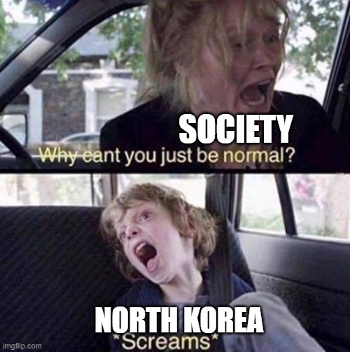 Why Can't You Just Be Normal | SOCIETY; NORTH KOREA | image tagged in why can't you just be normal | made w/ Imgflip meme maker