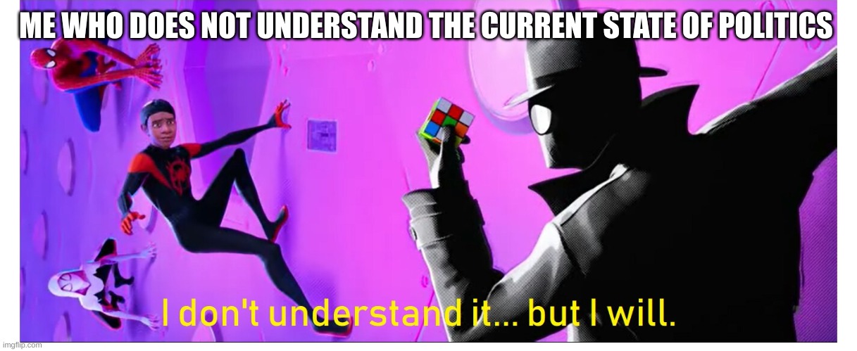 I Don't Understand It.....but I Will | ME WHO DOES NOT UNDERSTAND THE CURRENT STATE OF POLITICS | image tagged in i don't understand it but i will | made w/ Imgflip meme maker