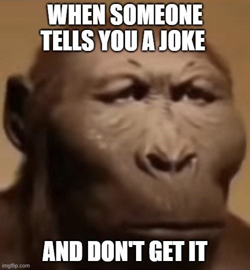I don't get it | WHEN SOMEONE TELLS YOU A JOKE; AND DON'T GET IT | image tagged in memes | made w/ Imgflip meme maker