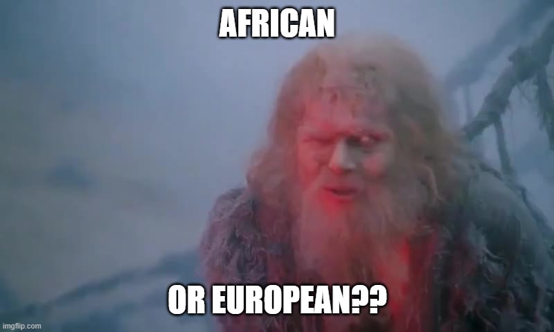 What Is Your Name? | AFRICAN OR EUROPEAN?? | image tagged in what is your name | made w/ Imgflip meme maker