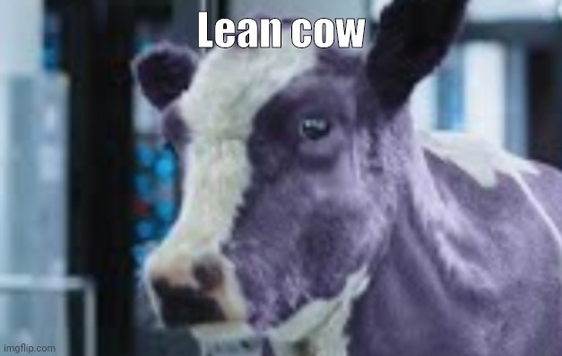 Lean cow | made w/ Imgflip meme maker