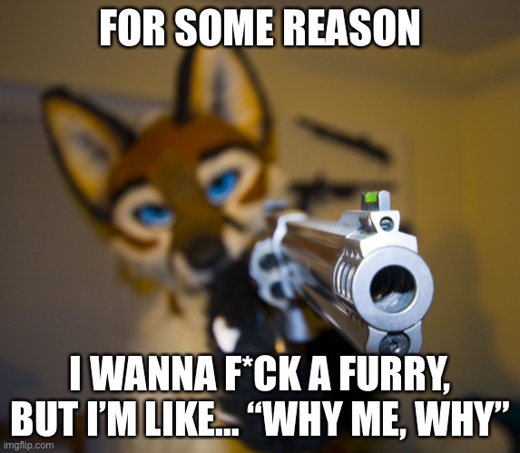 *pat* | FOR SOME REASON; I WANNA F*CK A FURRY, BUT I’M LIKE… “WHY ME, WHY” | image tagged in furry with gun | made w/ Imgflip meme maker