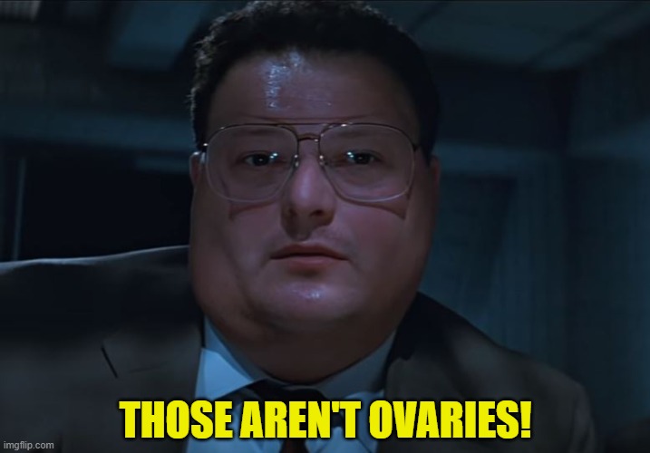 THOSE AREN'T OVARIES! | made w/ Imgflip meme maker