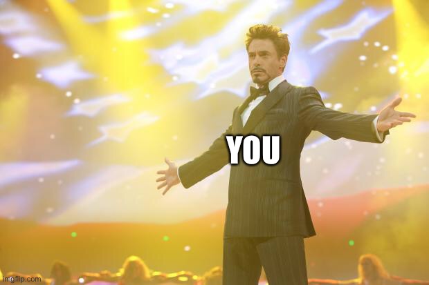 Tony Stark success | YOU | image tagged in tony stark success | made w/ Imgflip meme maker