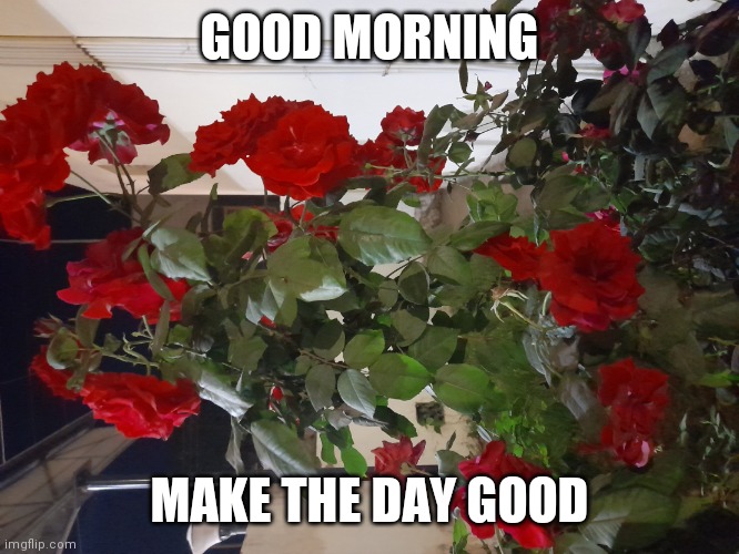 Good morning | GOOD MORNING; MAKE THE DAY GOOD | image tagged in good morning | made w/ Imgflip meme maker
