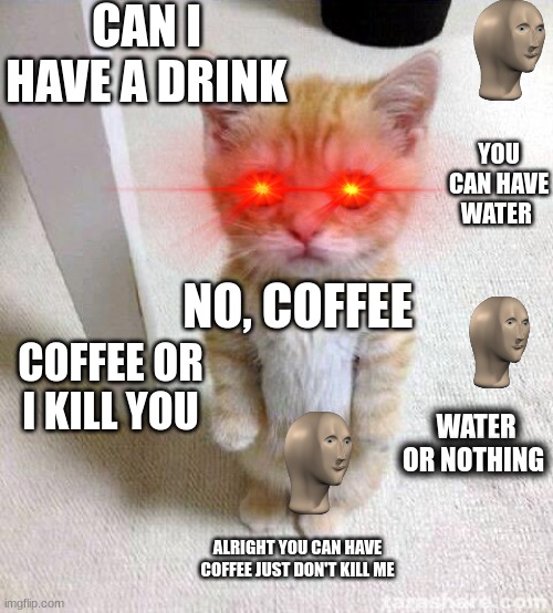 Cute Cat Meme | CAN I HAVE A DRINK; YOU CAN HAVE WATER; NO, COFFEE; COFFEE OR I KILL YOU; WATER OR NOTHING; ALRIGHT YOU CAN HAVE COFFEE JUST DON'T KILL ME | image tagged in memes,cute cat | made w/ Imgflip meme maker