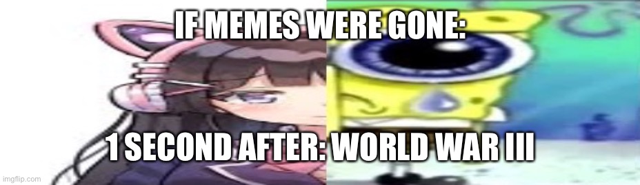 lol | IF MEMES WERE GONE:; 1 SECOND AFTER: WORLD WAR III | image tagged in lol | made w/ Imgflip meme maker