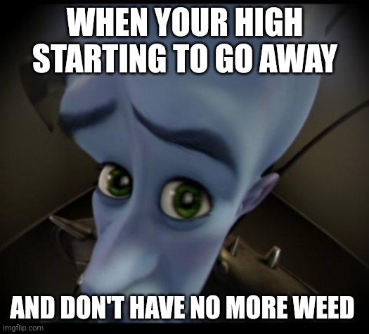 No weed | WHEN YOUR HIGH STARTING TO GO AWAY; AND DON'T HAVE NO MORE WEED | image tagged in no bitches,crying | made w/ Imgflip meme maker