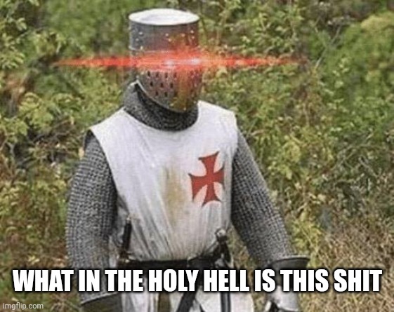 Growing Stronger Crusader | WHAT IN THE HOLY HELL IS THIS SHIT | image tagged in growing stronger crusader | made w/ Imgflip meme maker