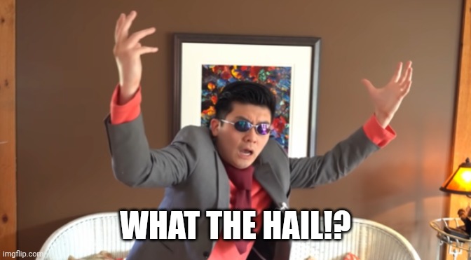 WHAT THE HAIL?! | WHAT THE HAIL!? | image tagged in what the hail | made w/ Imgflip meme maker