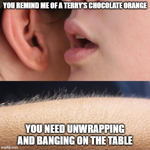 Whisper and Goosebumps |  YOU REMIND ME OF A TERRY'S CHOCOLATE ORANGE; YOU NEED UNWRAPPING AND BANGING ON THE TABLE | image tagged in whisper and goosebumps | made w/ Imgflip meme maker