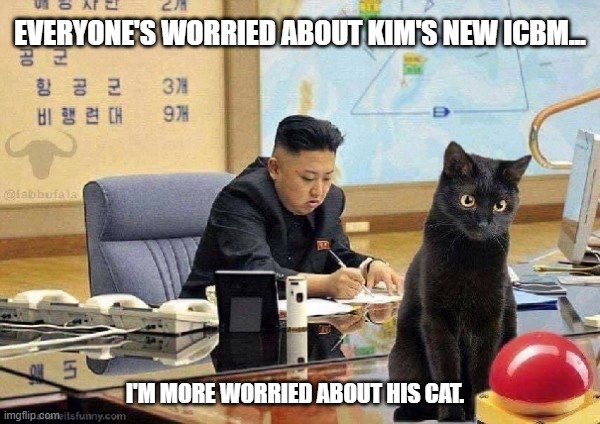 Duck & cover. | EVERYONE'S WORRIED ABOUT KIM'S NEW ICBM... I'M MORE WORRIED ABOUT HIS CAT. | image tagged in kim jong un,kim's cat | made w/ Imgflip meme maker