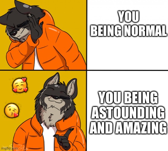 Truth hits hard | YOU BEING NORMAL; YOU BEING ASTOUNDING AND AMAZING; 🥰; 😘 | image tagged in furry,wholesome | made w/ Imgflip meme maker