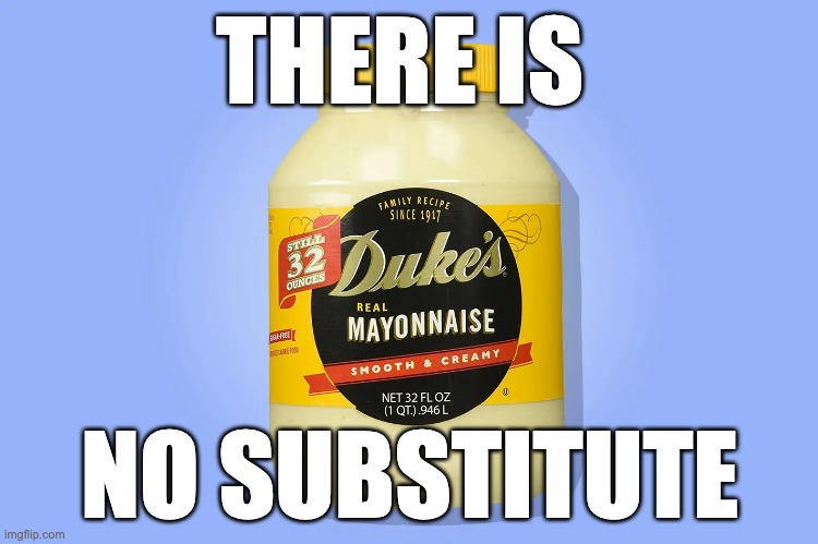 There is no substitute |  THERE IS; NO SUBSTITUTE | image tagged in dukes mayo,southern,dukes | made w/ Imgflip meme maker