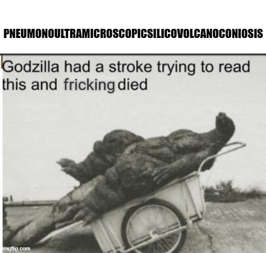pneumonoultramicroscopicsilicovolcanoconiosis | PNEUMONOULTRAMICROSCOPICSILICOVOLCANOCONIOSIS | image tagged in godzilla had a stroke trying to read this and fricking died | made w/ Imgflip meme maker